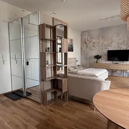 Apartment Old Town Poznan