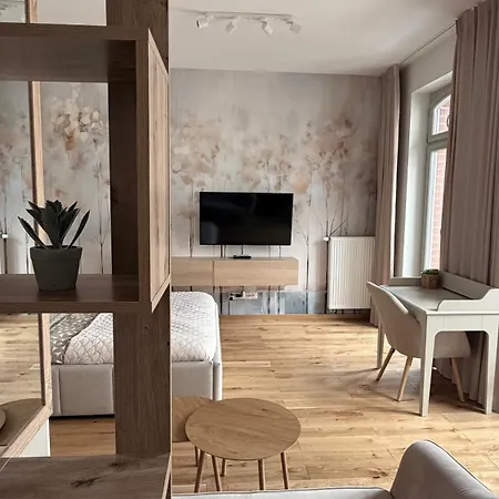 Old Town Apartment *